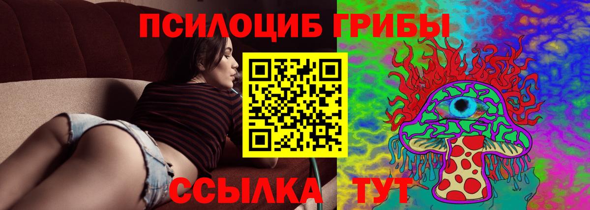 Галлюциногенные грибы Psilocybine cubensis Протвино